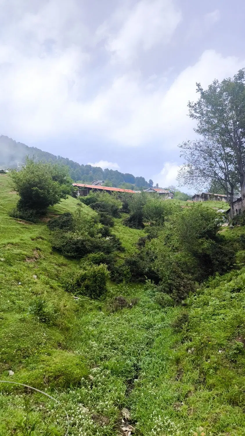 زمین سرمایه گذاری