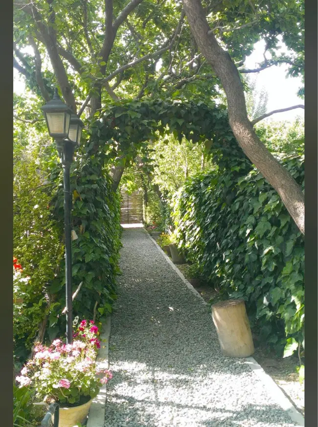 زمین کشاورزی