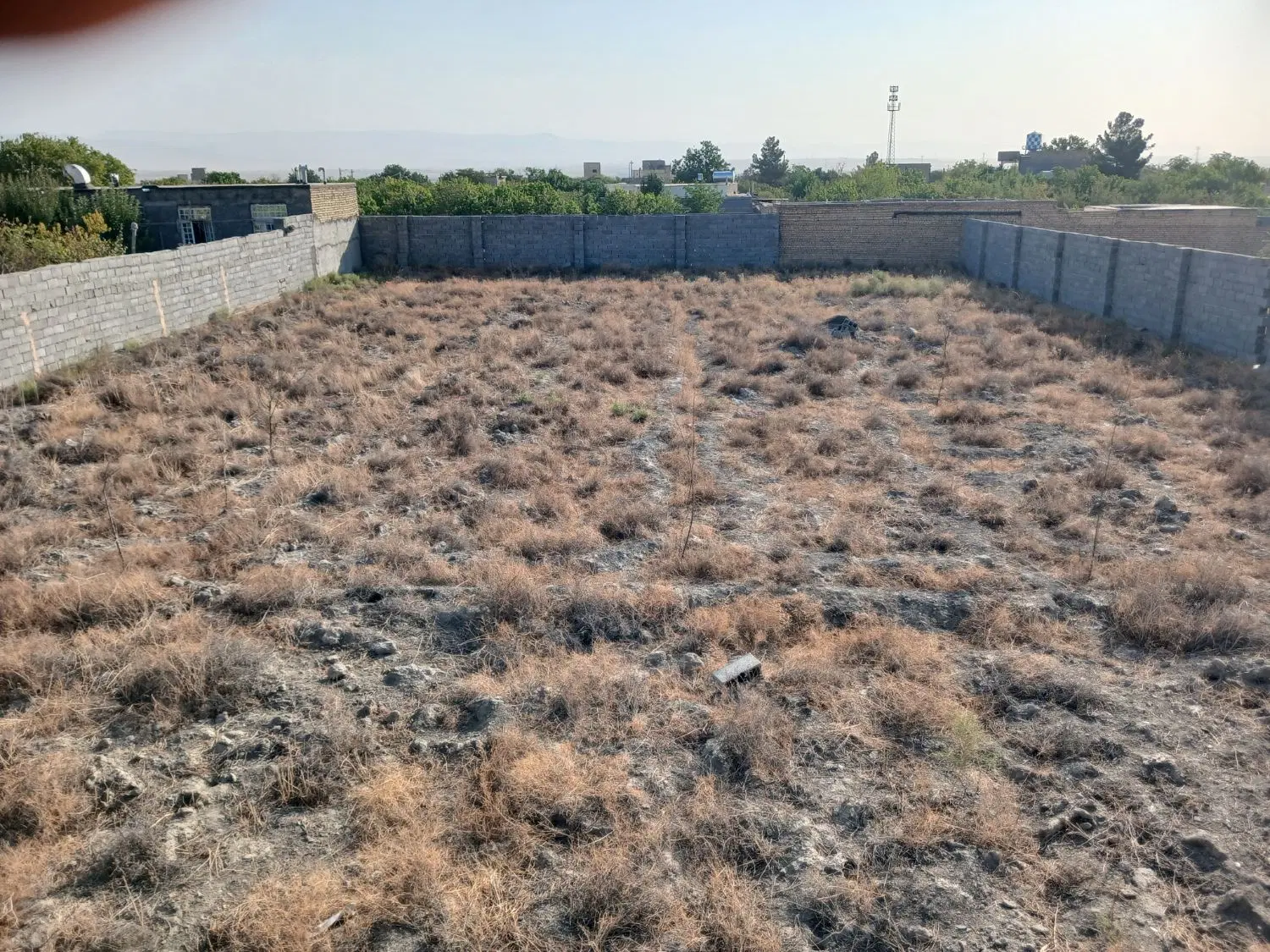 زمین ملکی روستای جوادیه