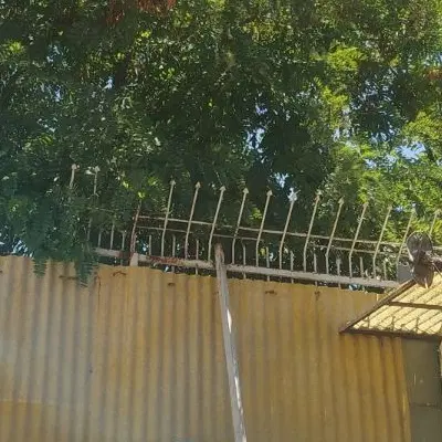 خانه منزه