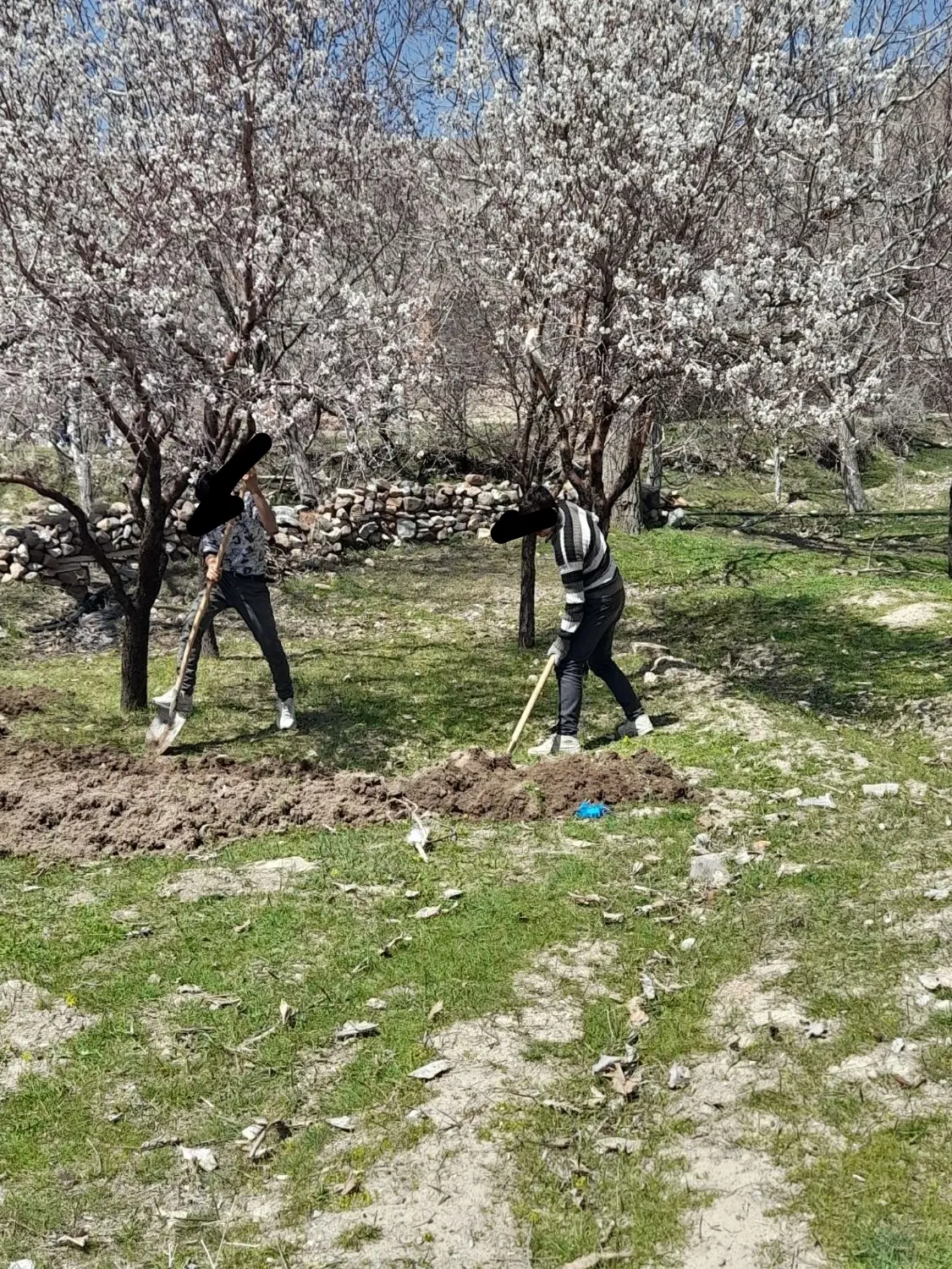 فروش زمین