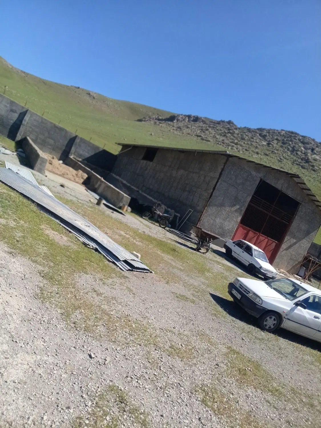 گاوداری ۲۰۰ راسی پرواربندی با مجوز