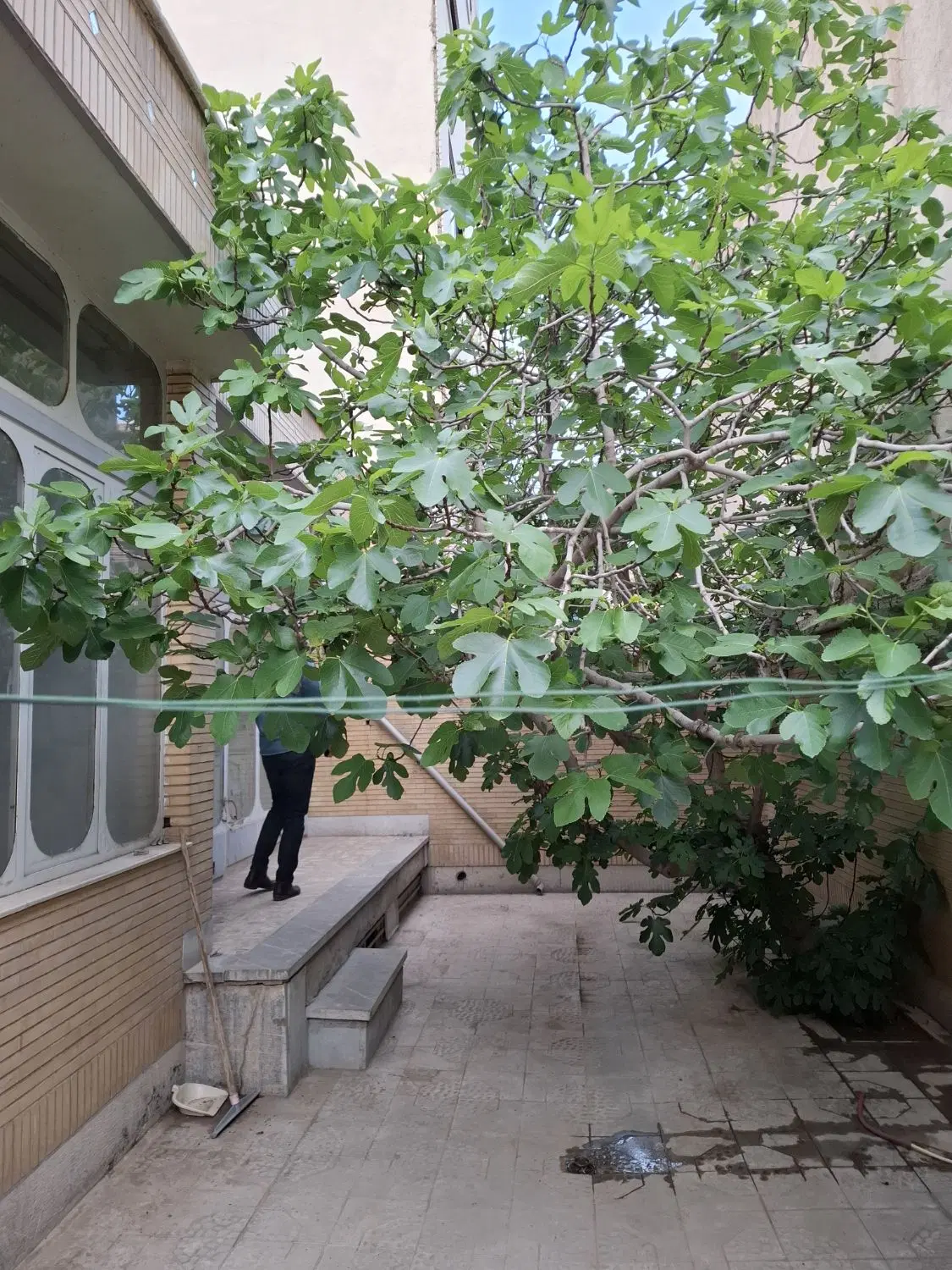 منزل مسکونی جنوبی با موقعیت بسیار عالی