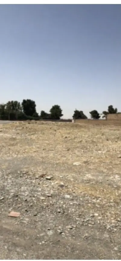 ۲۰قصب زمین