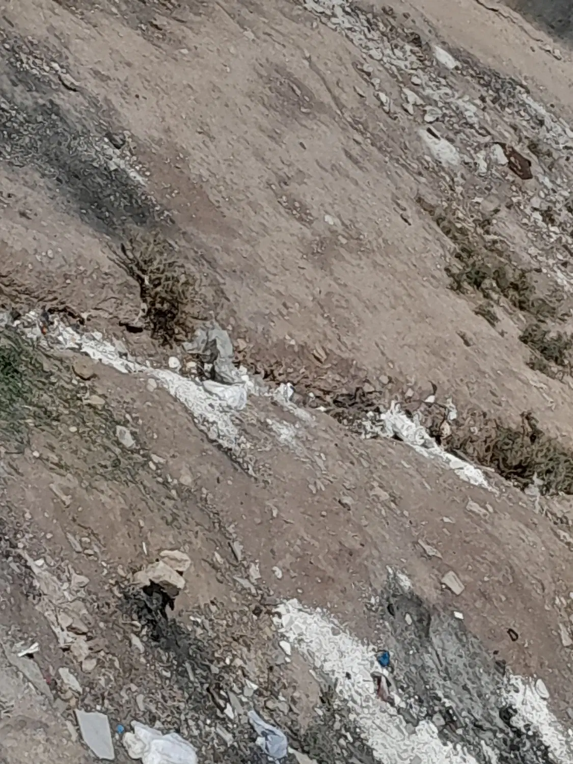 زمین تلوری