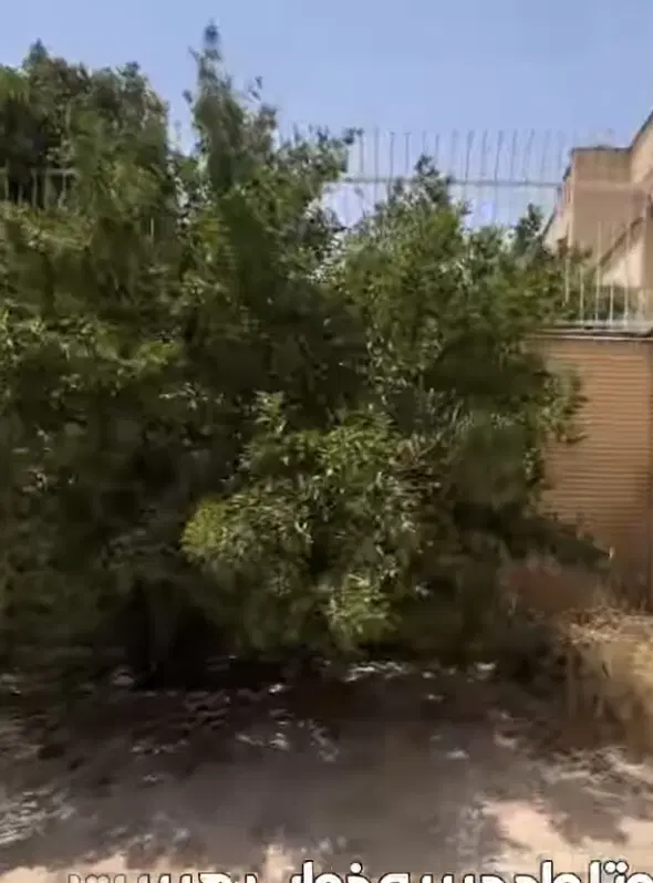 اجاره رهن کامل دوخوابه چوگیا چمران بدون پارکینگ