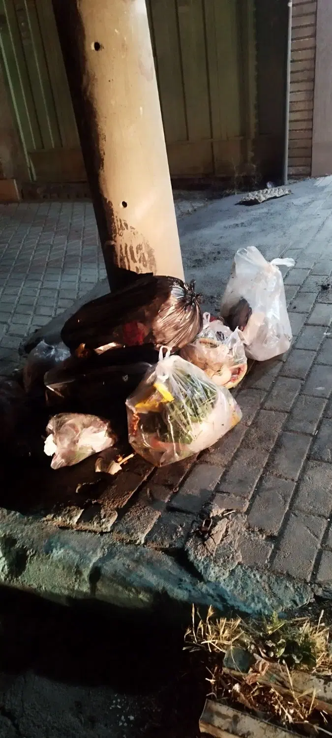 سکونت رایگان
