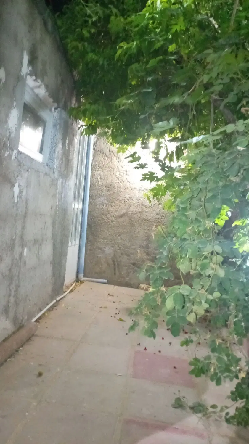 باغچه