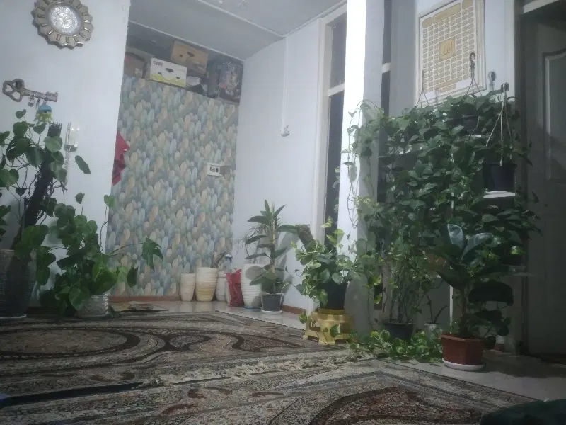 هم خونه نیازمندم خانم