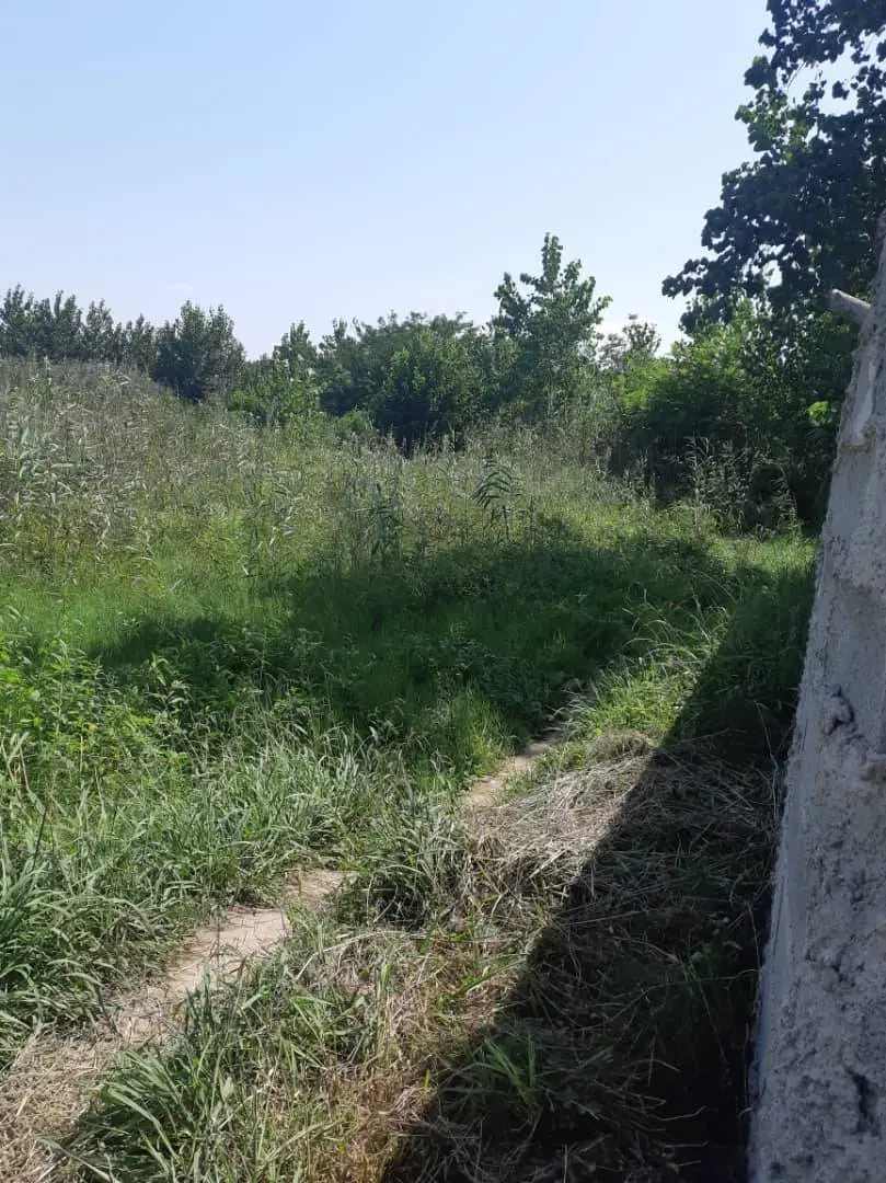 زمین در خمام رشت