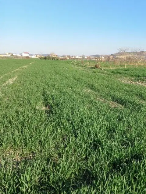 ۵۰۰ متر زمین بر کمربندی فرفهان