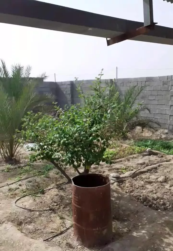 فروش باغ شهری ۵۰۰ متری حومه شهر