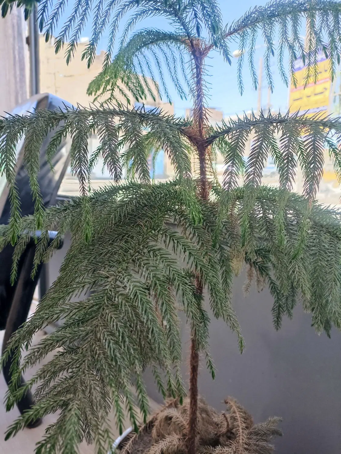 کارگاه اجاره