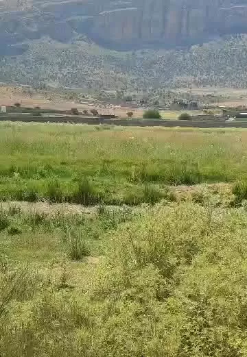 فروش زمین باغی در دشت ارژن