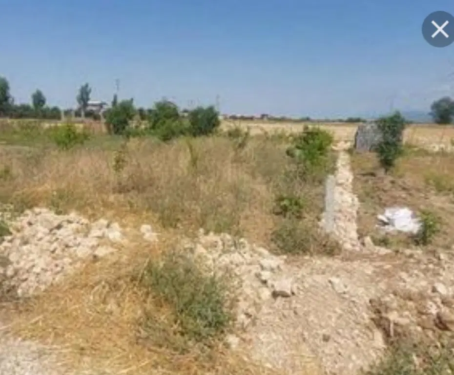 زمین