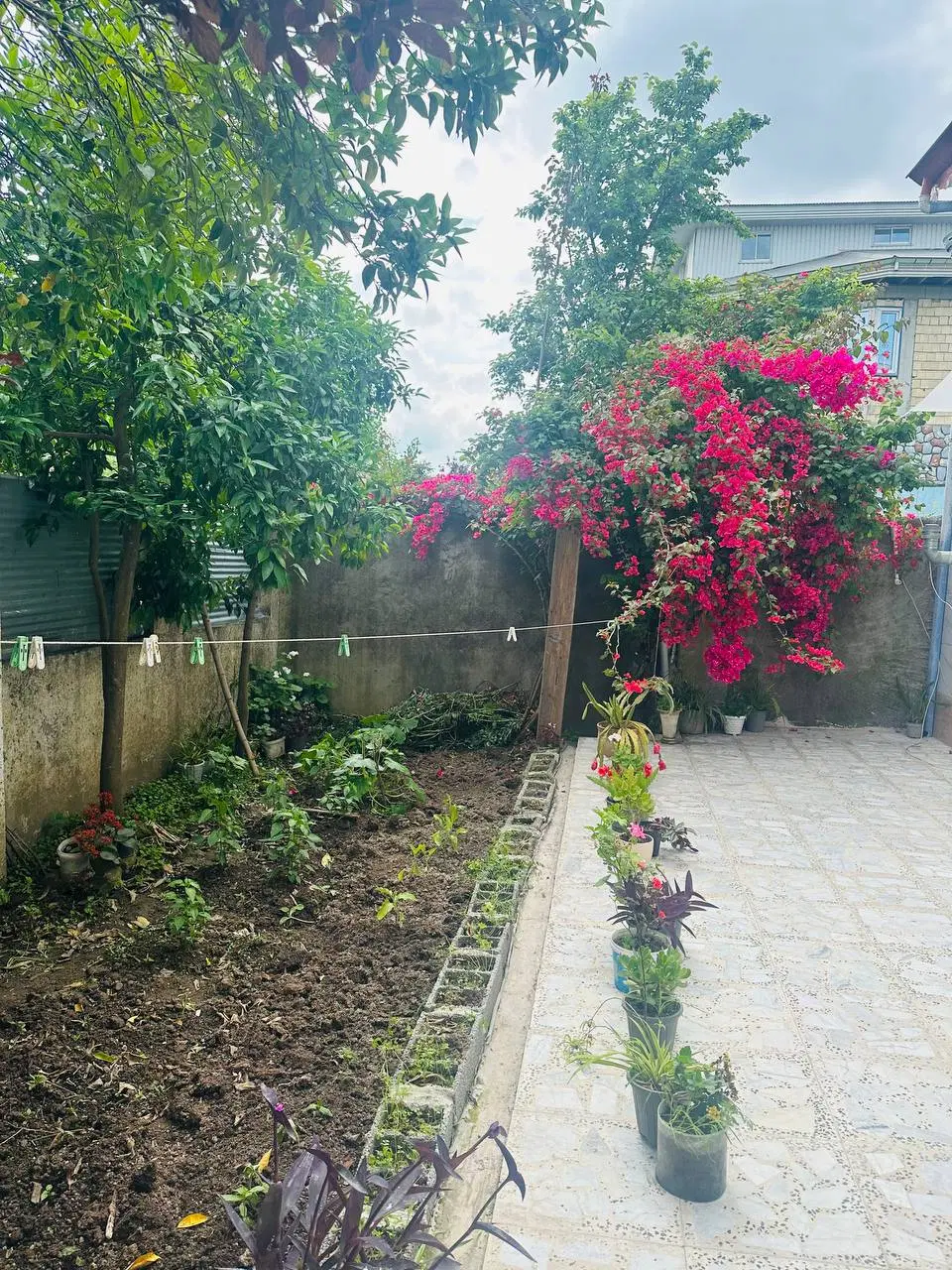 اجاره آپارتمان ۶۰ متری