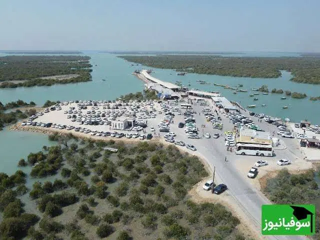 زمین