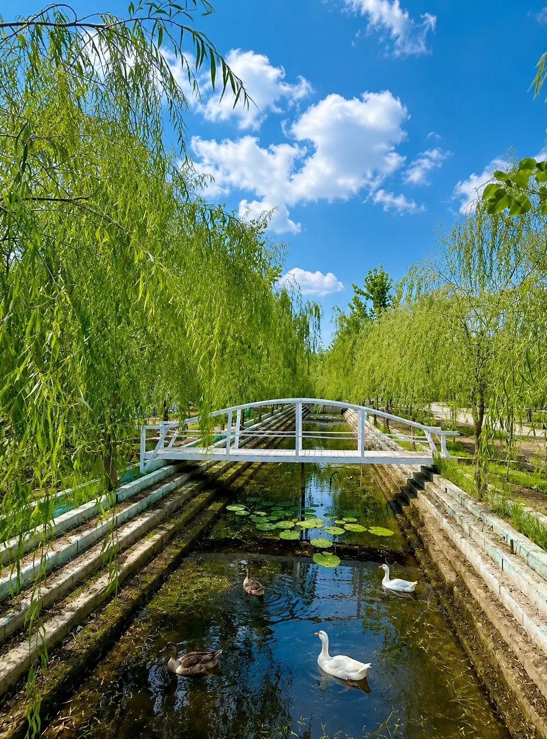 محیطی آرام بدوراز هیاهوی شهر
