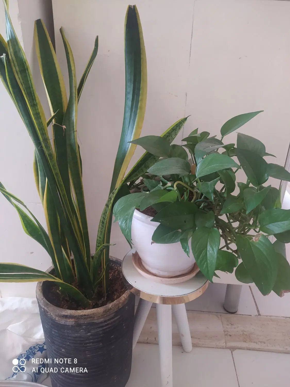 اجاره خونه نقلی