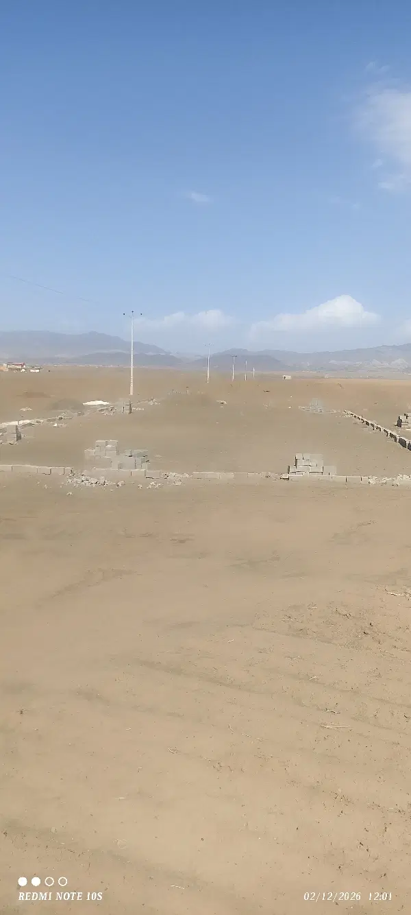 زمین تک برگ سند