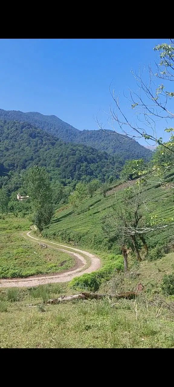 ۲۷۵ متر زمین مسکونی در روستای سرسبز و بکر فوشه