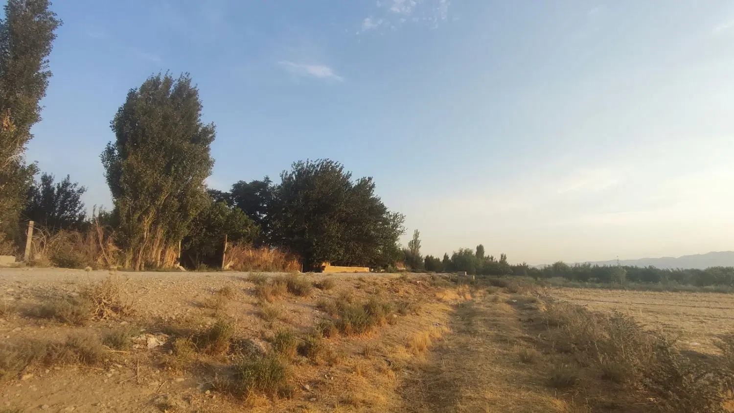 فروش قطعات باغچه
