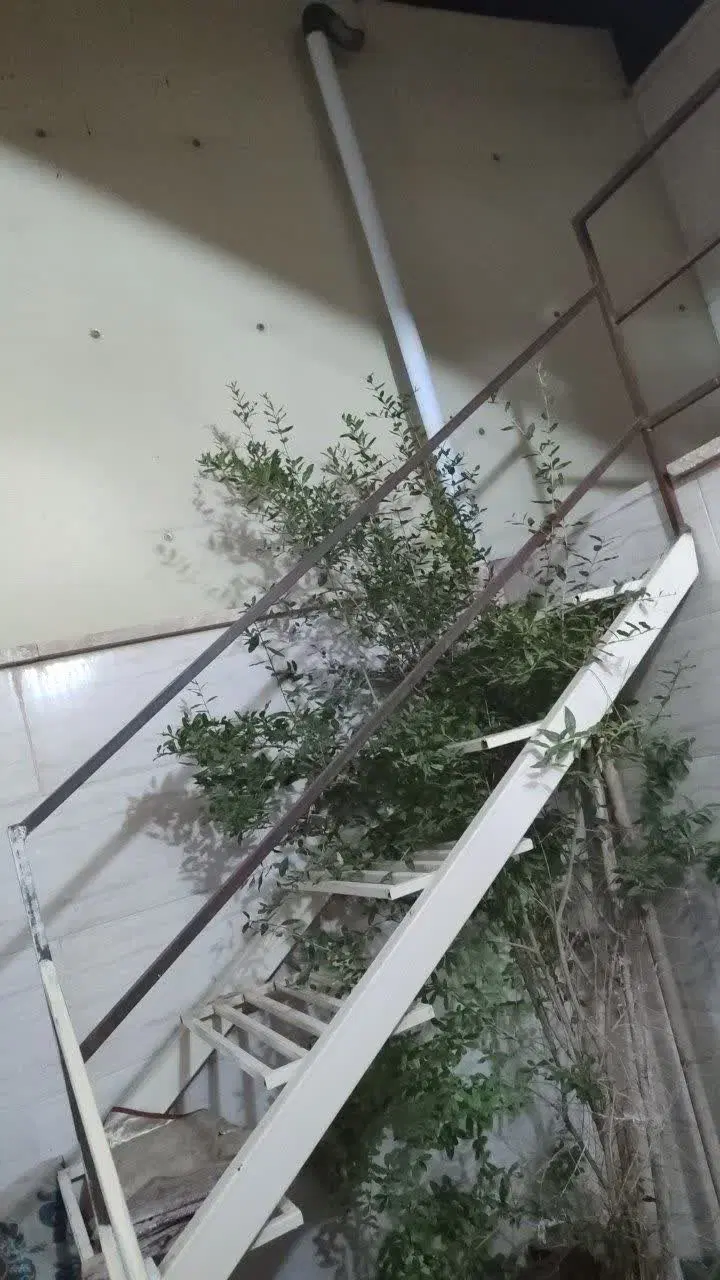 منزل مسکونی