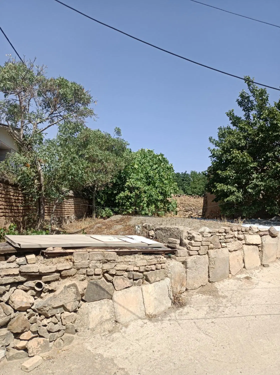 زمین