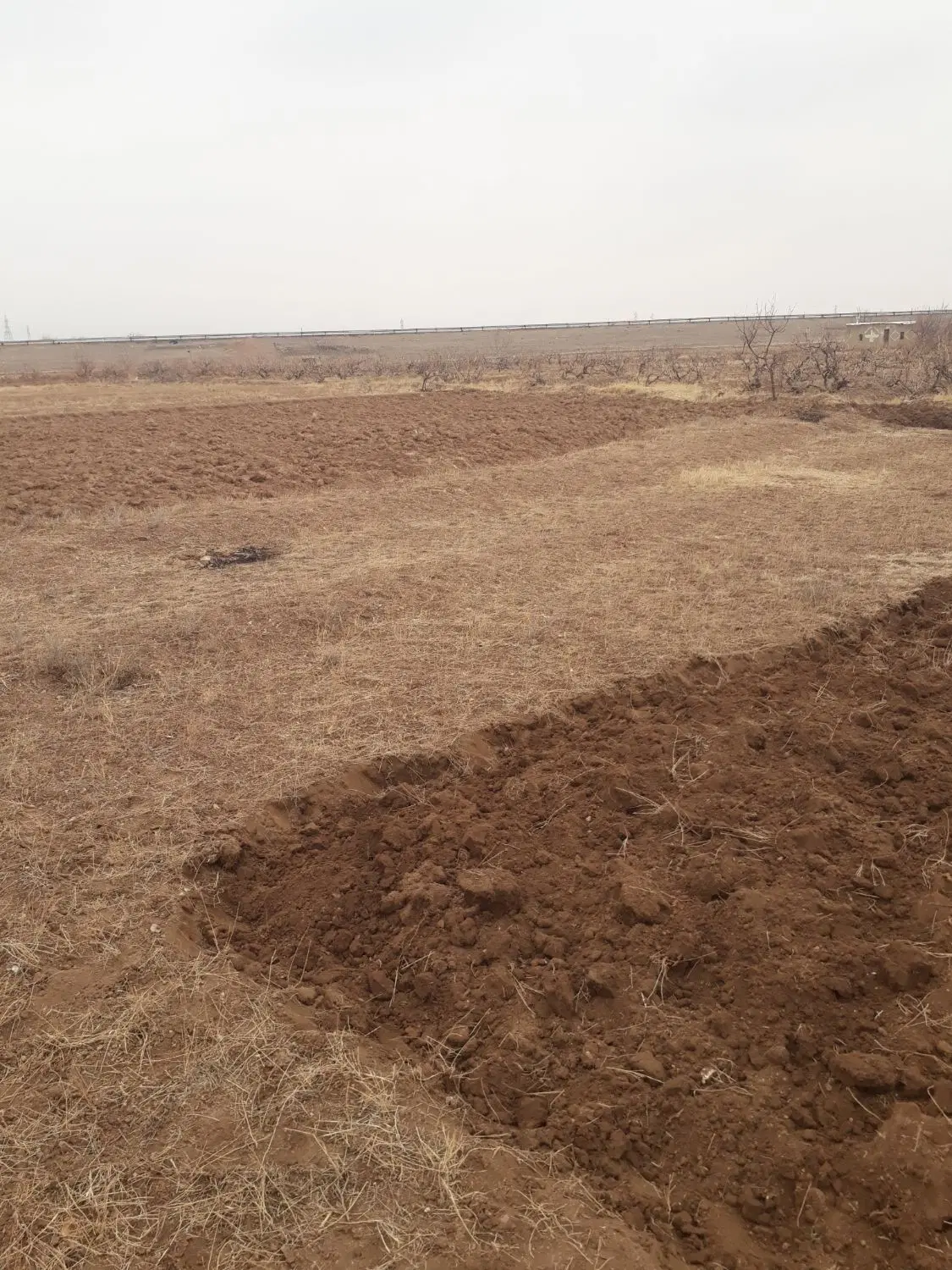 فروش زمین زراعی
