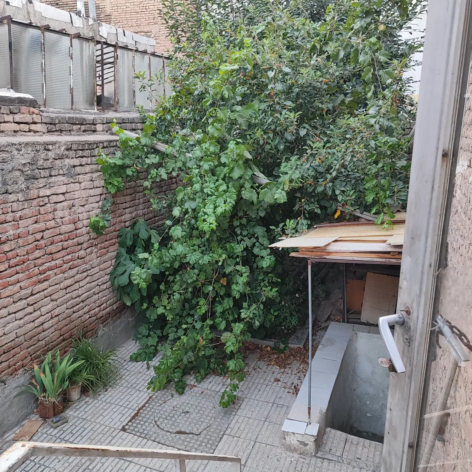 حیاط و خانه مسکونی به متراژ ۱۳۰مترمربع