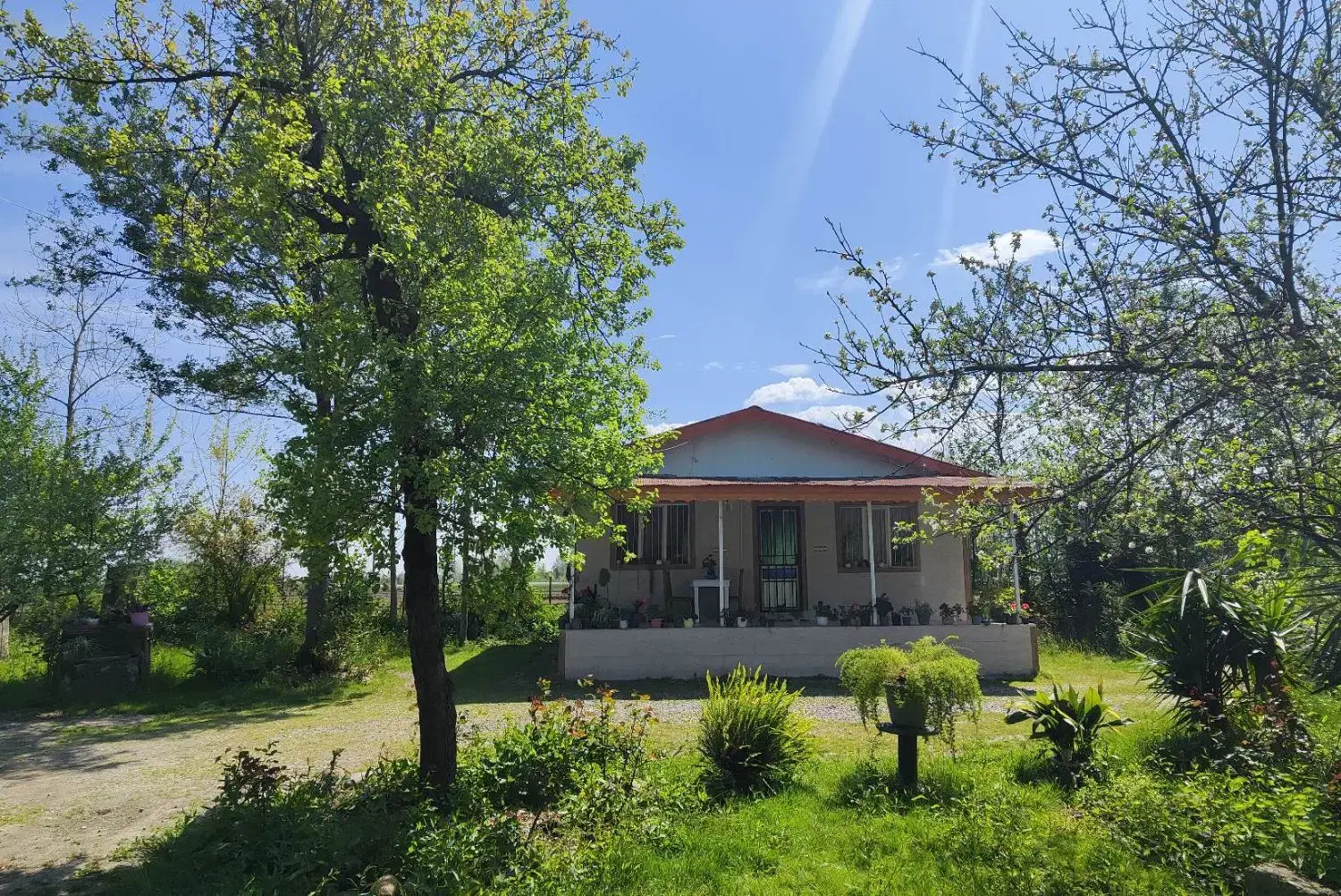 اجاره‌ روزانه‌ ویلای جنگلی