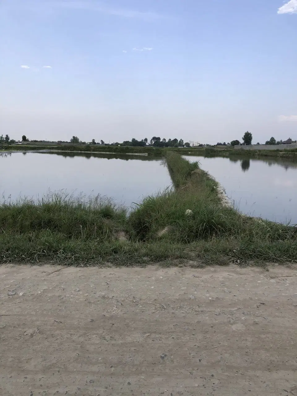 فروش زمین