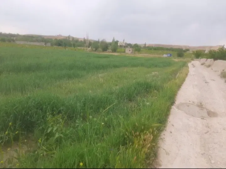 زمین ویلایی خانلق