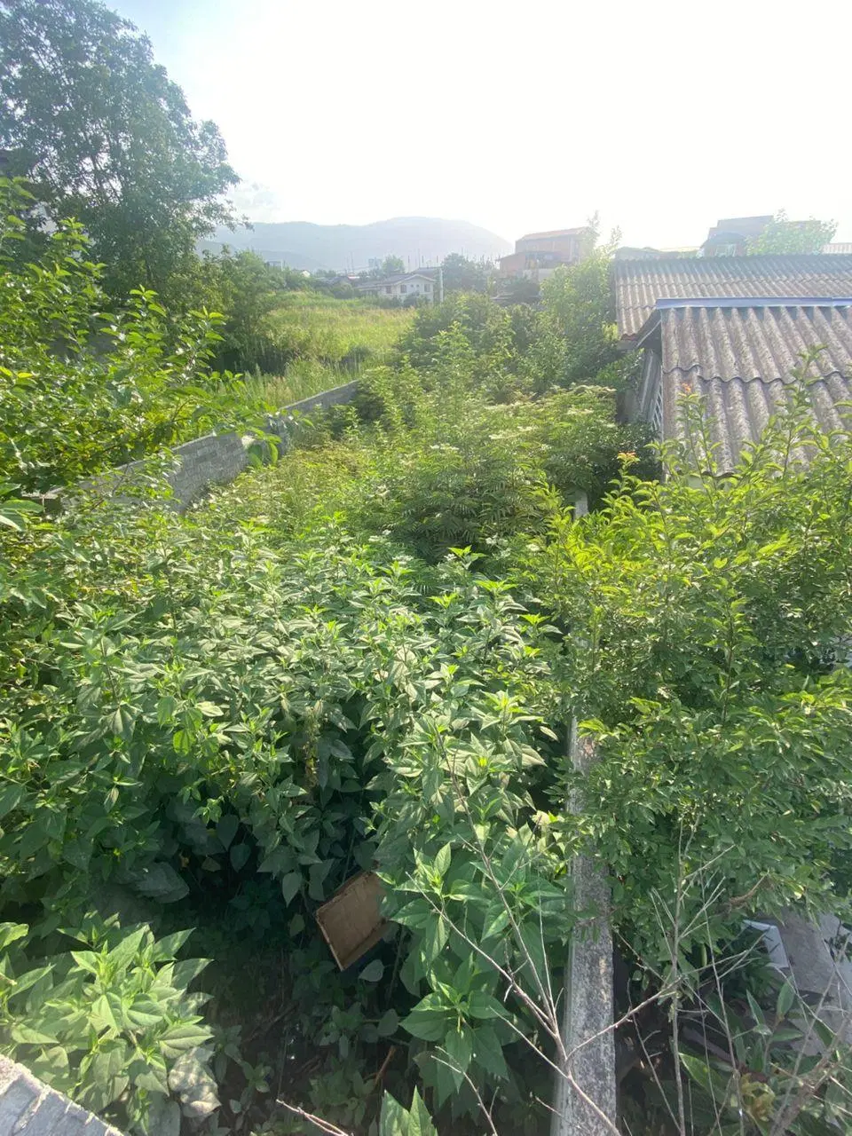زمین ویلایی