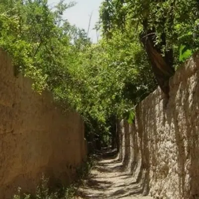 1600متر زمین در صادق آباد خورزوق