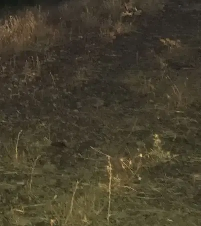 زمین بنیادی خلیفه