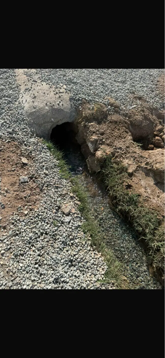 فروشی