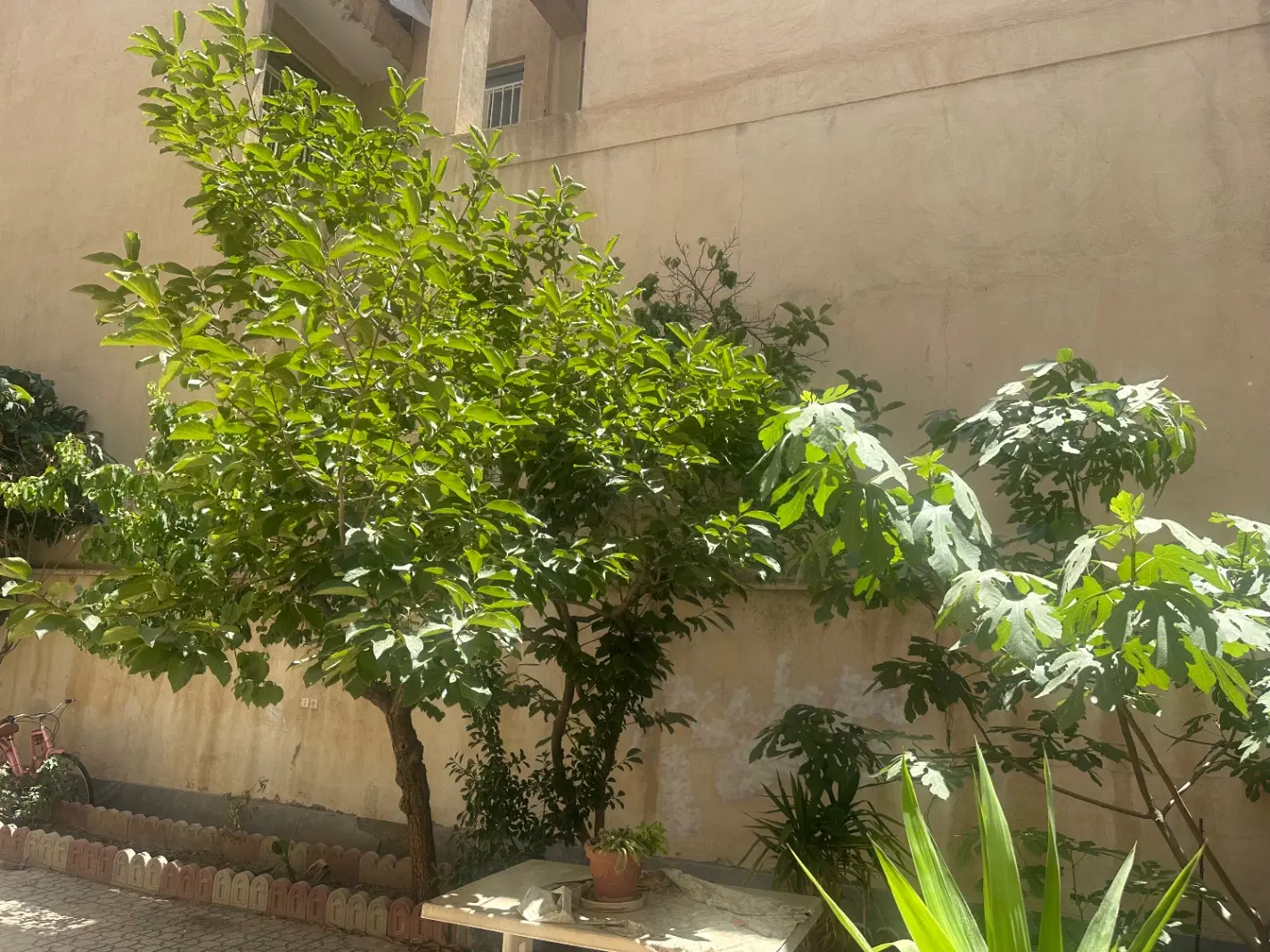 رهن کامل واحد ۸۰متری در شهرک جهان نما