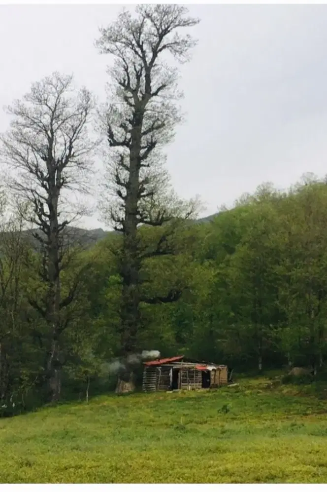 یک قطعه زمین باغی در روستای افراتخته