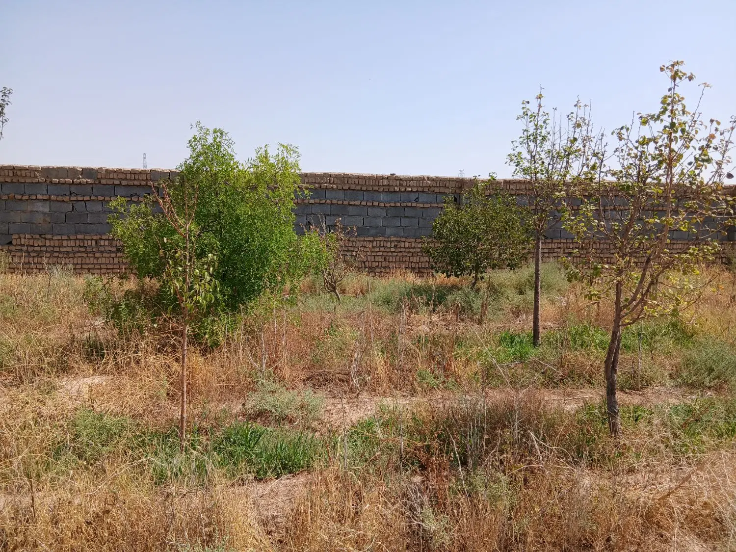 باغ ۱۰۰۰ متری برزش اباد اخر پنجتن