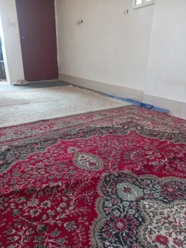 نیازمند همخونه آقا