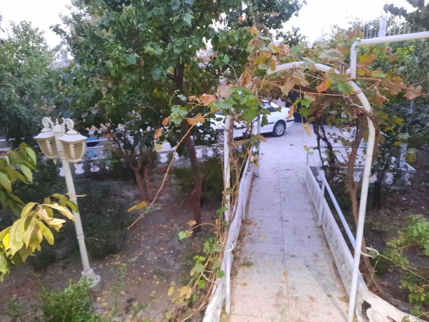باغ ویلا