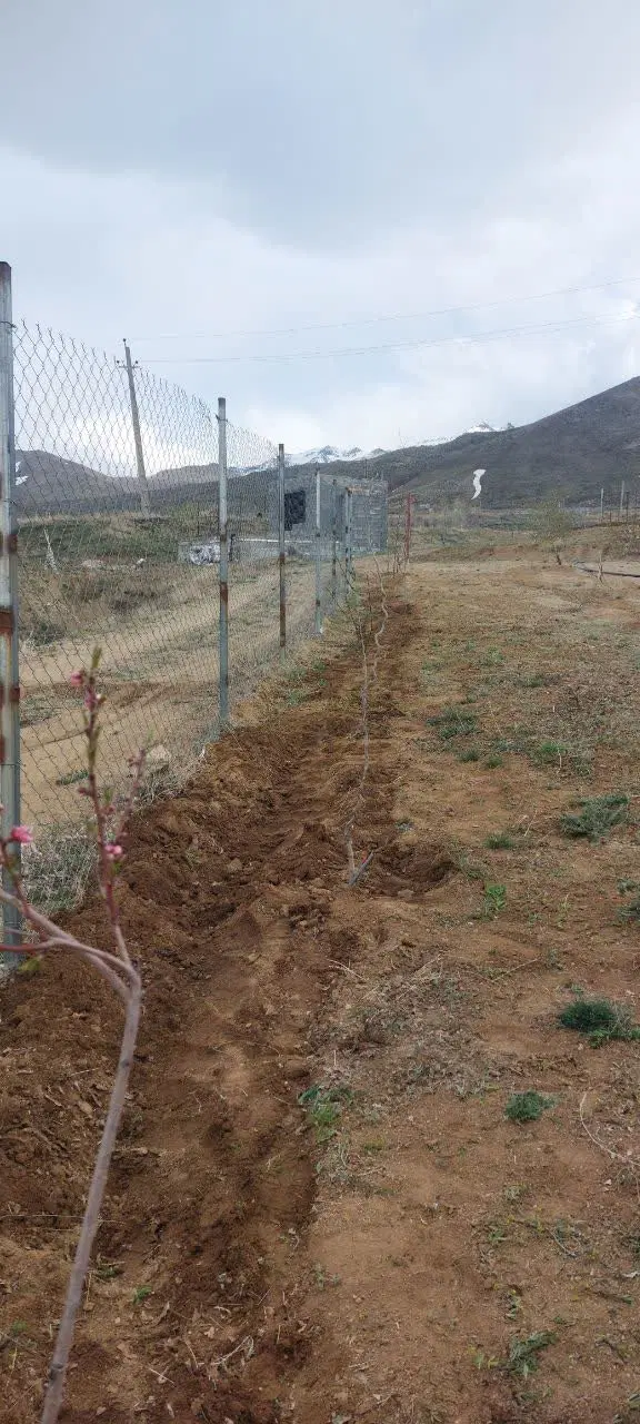 زمین باغ نوراباد