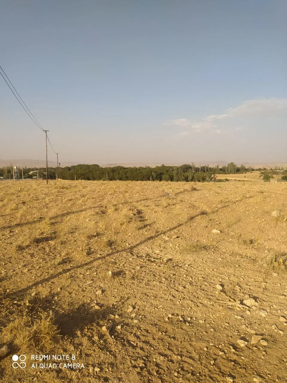 زمین کشاورزی و باغی سنگستان