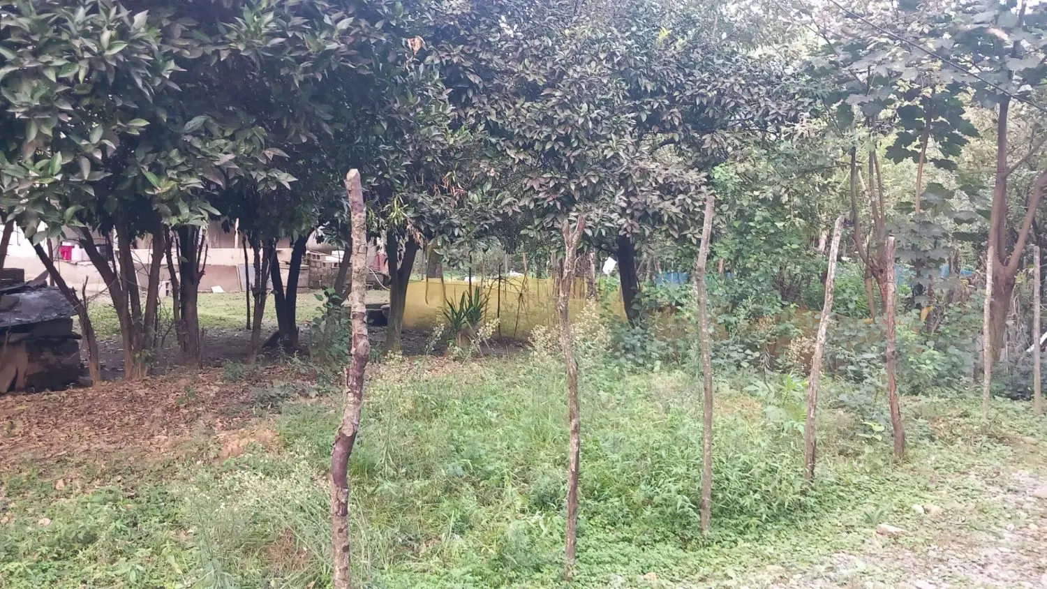 زمین با کاربری مسکونی و پروانه ی ساخت تا دوطبقه