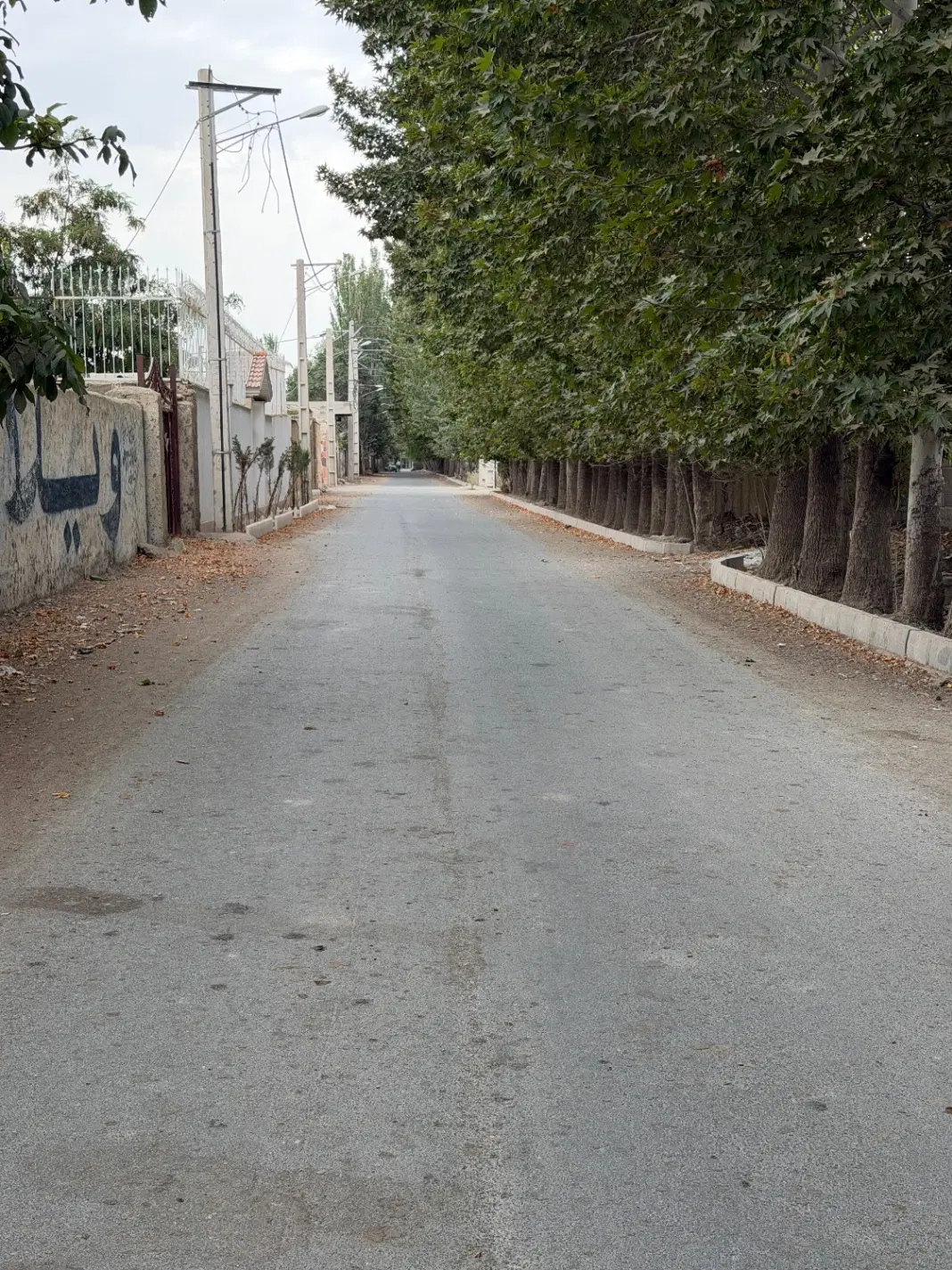زمین ۱۰۰۰ متری تهراندشت سرخاب چناران