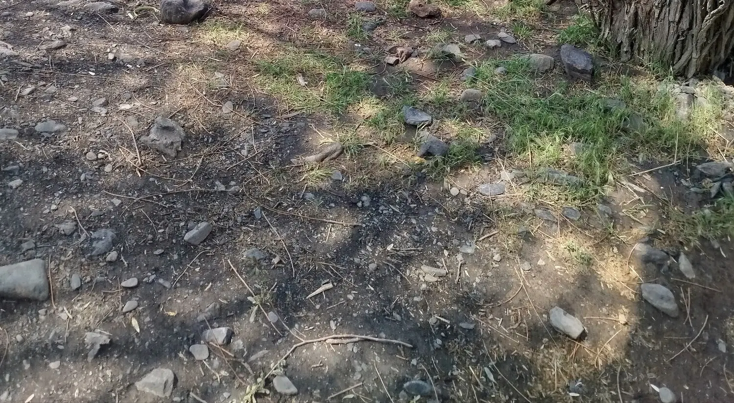 زمین فروشی