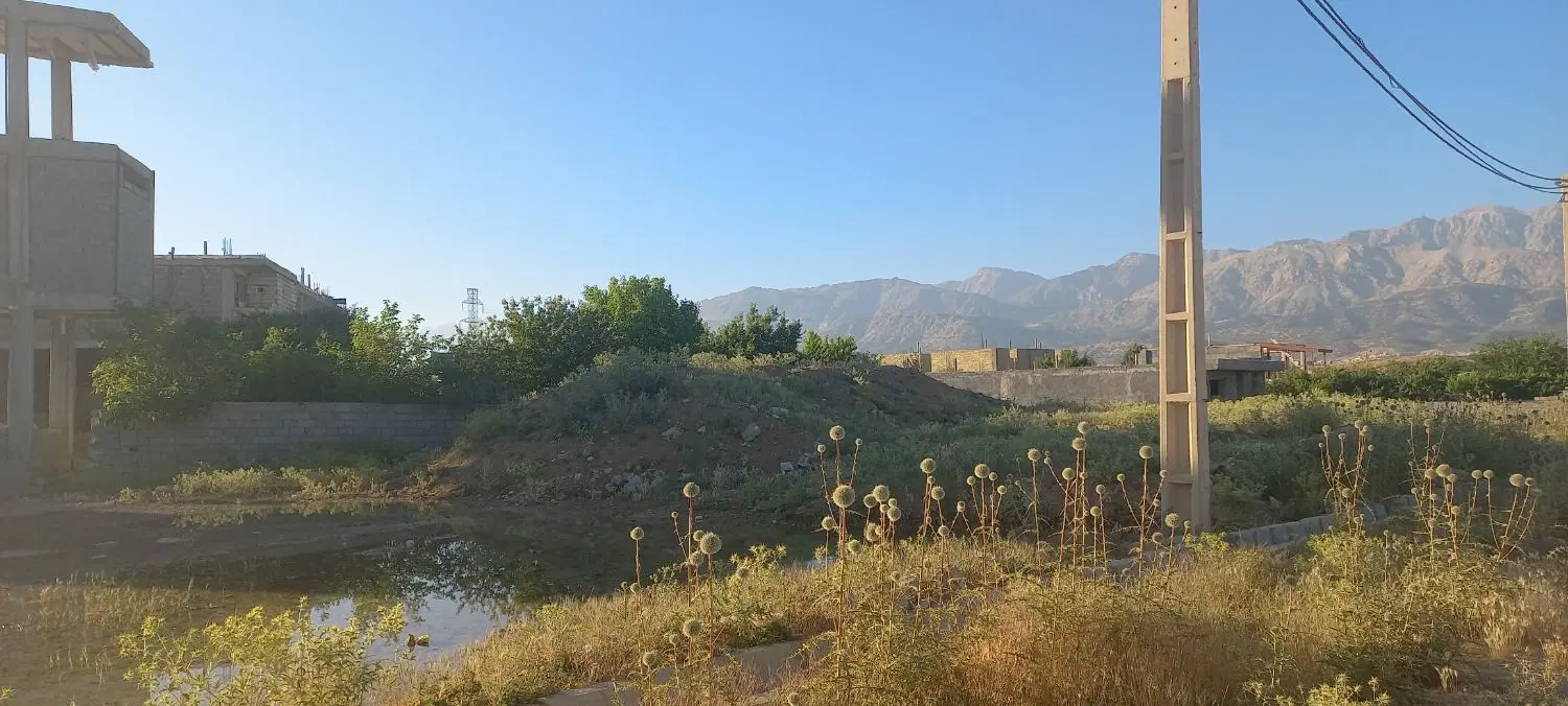 زمین چنارستان سفلی