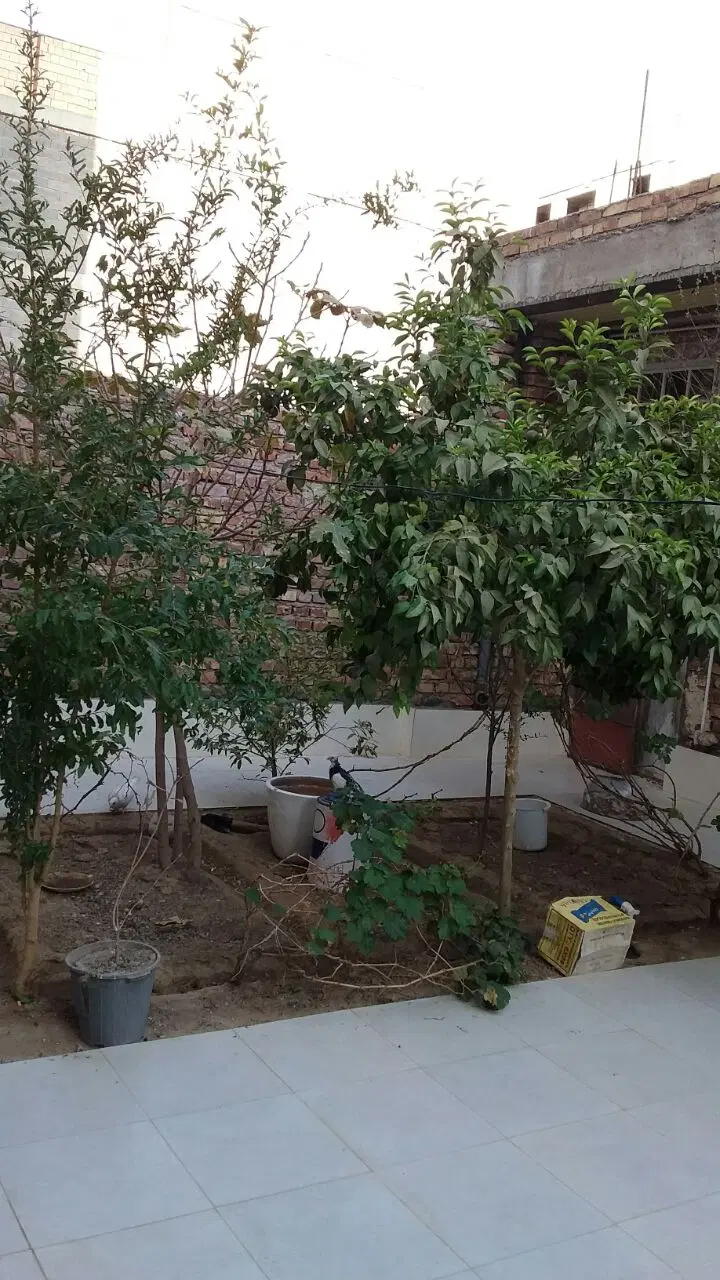 خانه ویلایی انتهای البرز خیابان مرصاد منطقه۹