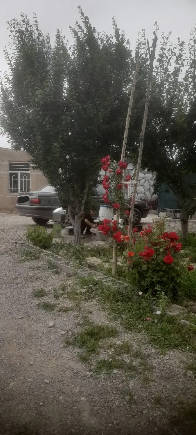۱۰۰۰ متر باغ محسن اباد